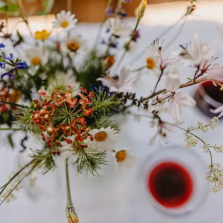 Konukevi Casa Krasna Gourmet Boutique Lokev