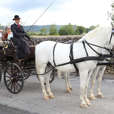 Casa Krasna Gourmet Boutique Lokev