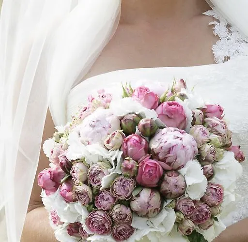 Affittacamere Casa Krasna Gourmet Boutique 4*